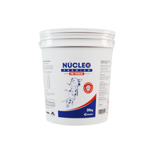 Carregar imagem no visualizador da galeria, NÚCLEO PREMIUM TM FORCE (20Kg)