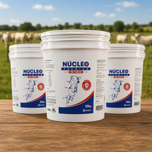 Carregar imagem no visualizador da galeria, NÚCLEO PREMIUM TM FORCE (20Kg)