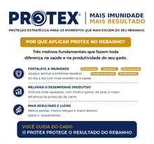 Carregar imagem no visualizador da galeria, PROTEX 500 ml