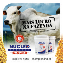 Carregar imagem no visualizador da galeria, NÚCLEO PREMIUM TM FORCE (20Kg)
