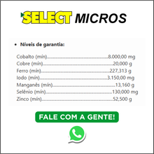 Carregar imagem no visualizador da galeria, SELECT Micros
